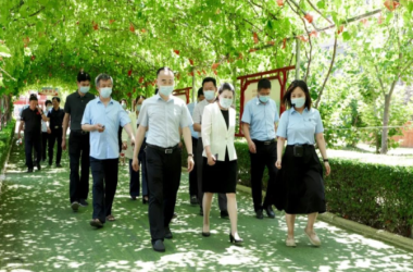 市政協(xié)副主席李海燕一行蒞臨我校調(diào)研指導(dǎo)“人人持證、技能河南”工作
