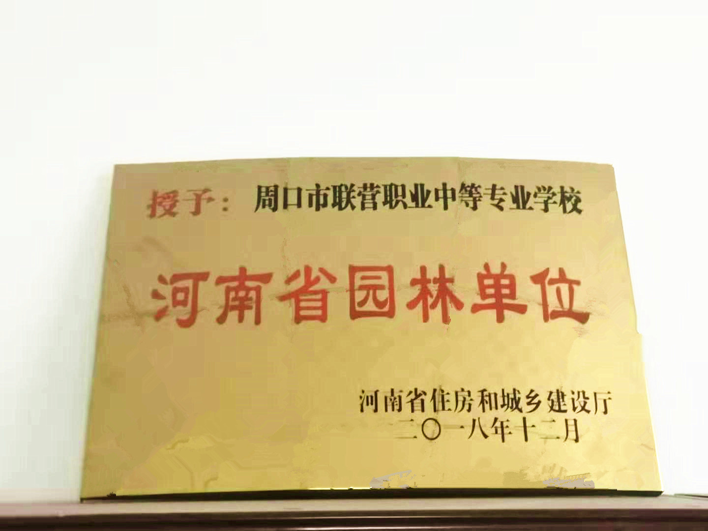 微信圖片_20191009090036_副本.jpg